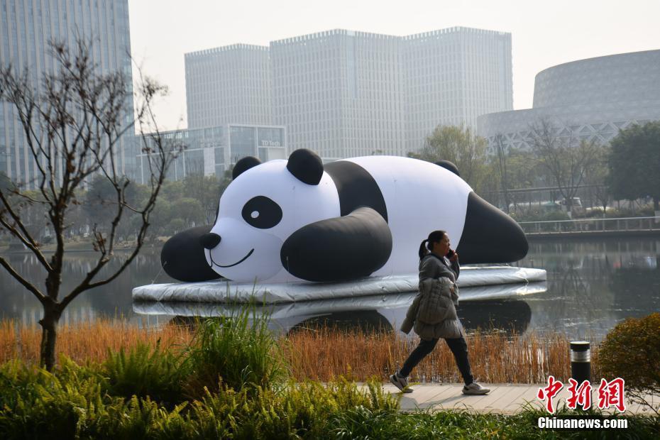 成都：大熊貓充氣裝置亮相新川之心公園