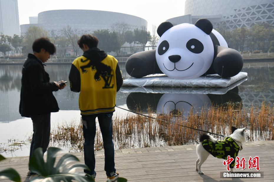 成都：大熊貓充氣裝置亮相新川之心公園