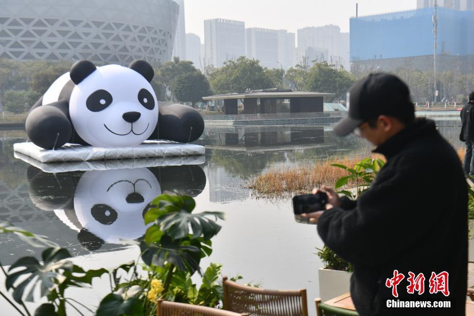 成都：大熊貓充氣裝置亮相新川之心公園