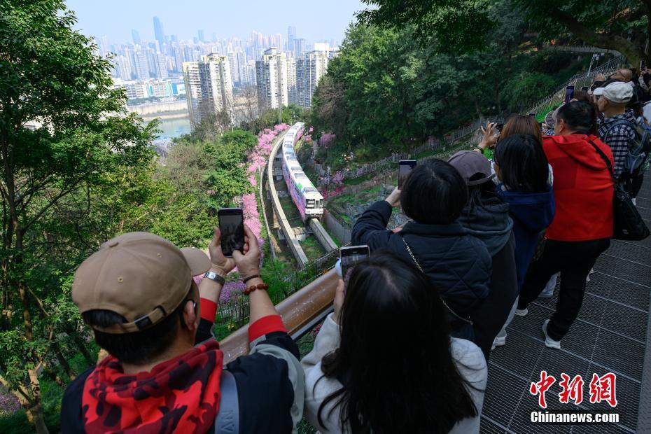 重慶：“開往春天的列車”浪漫上線