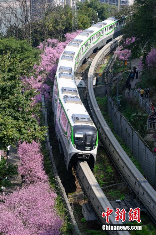 重慶：“開往春天的列車”浪漫上線