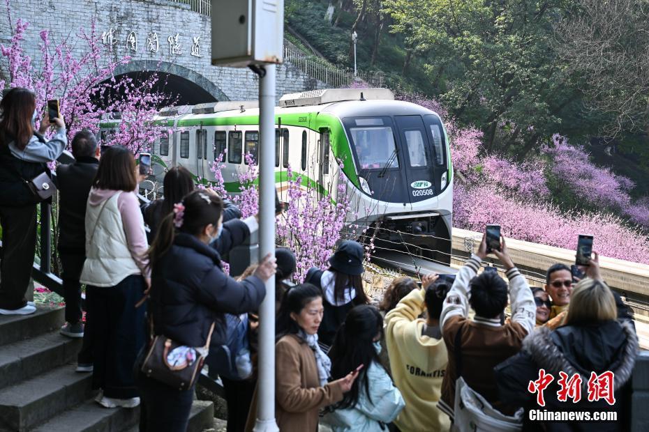 重慶：“開往春天的列車”浪漫上線