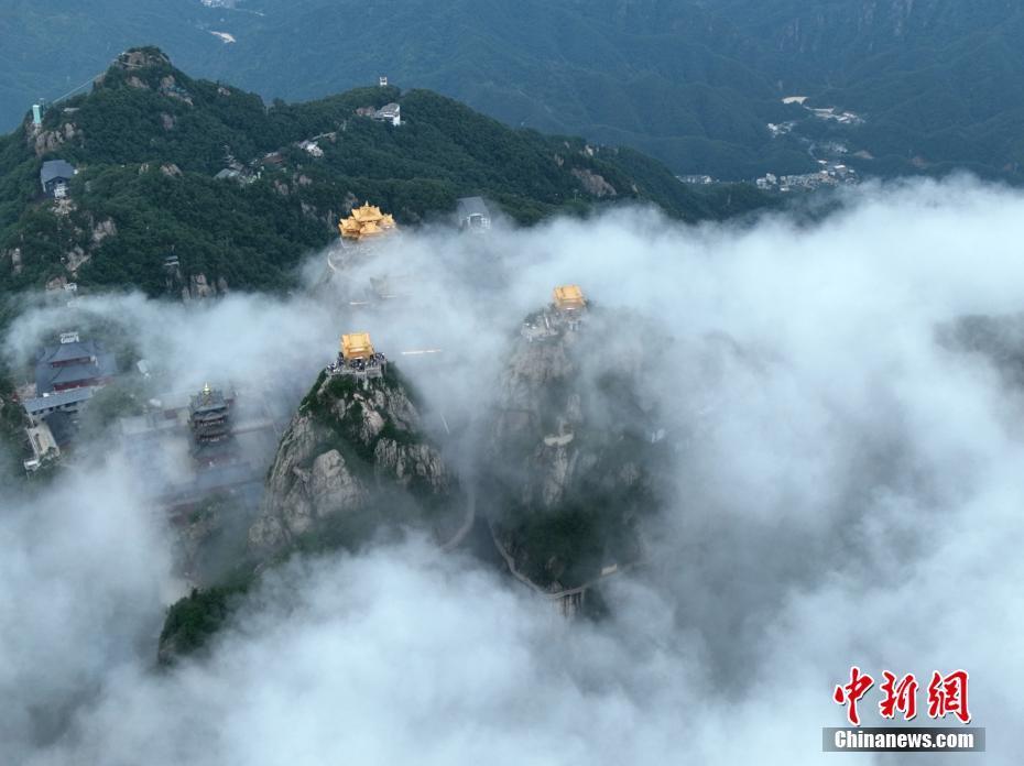 河南洛陽老君山現(xiàn)雨后云海景觀