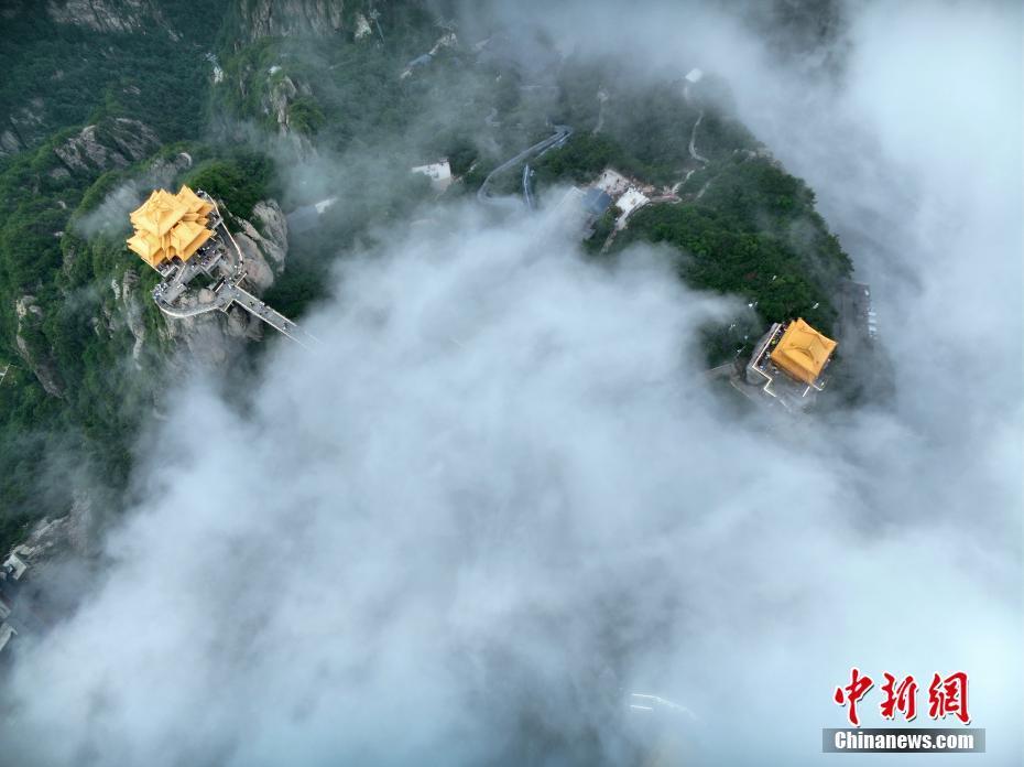 河南洛陽老君山現(xiàn)雨后云海景觀