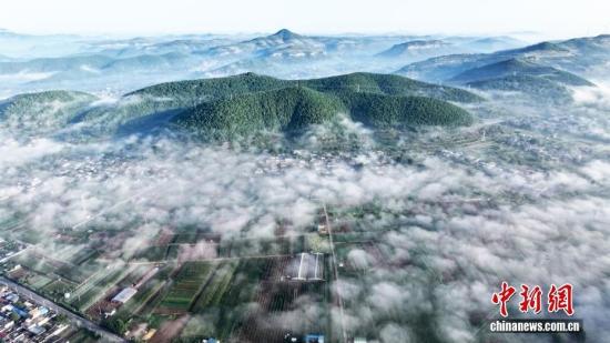 山东枣庄：雨后初霁 田野上空云雾缥缈