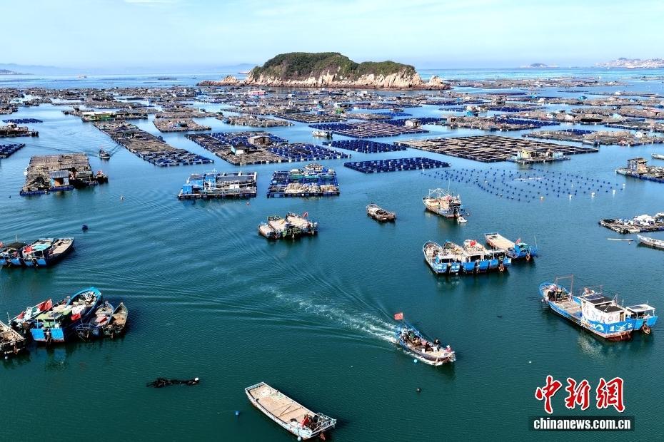 福建連江：海上春耕忙 牧漁繪新景