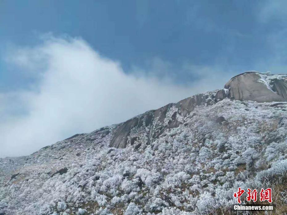 福建金饶山迎新年首场雾凇 银装素裹如画卷