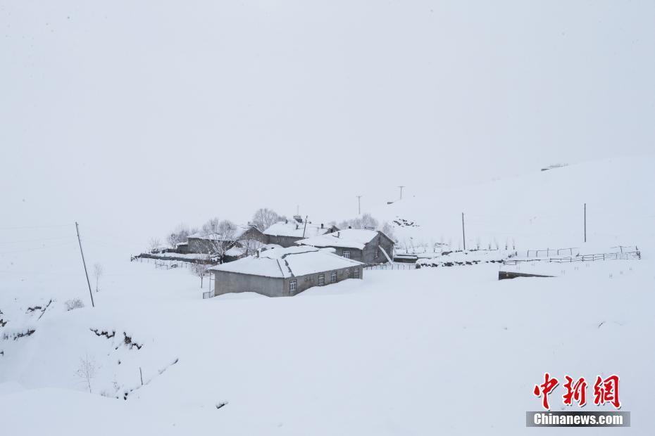 大雪淹没图片