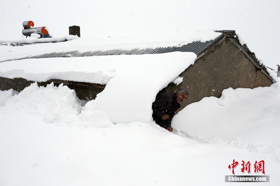 大雪淹没图片