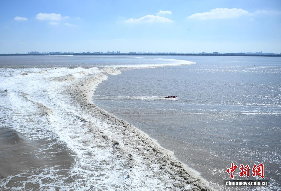 浙江海宁：钱塘江大潮汹涌壮观吸引游客