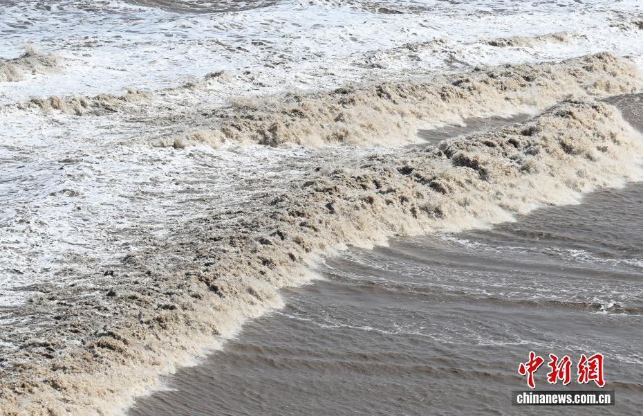 浙江海宁：钱塘江大潮汹涌壮观吸引游客