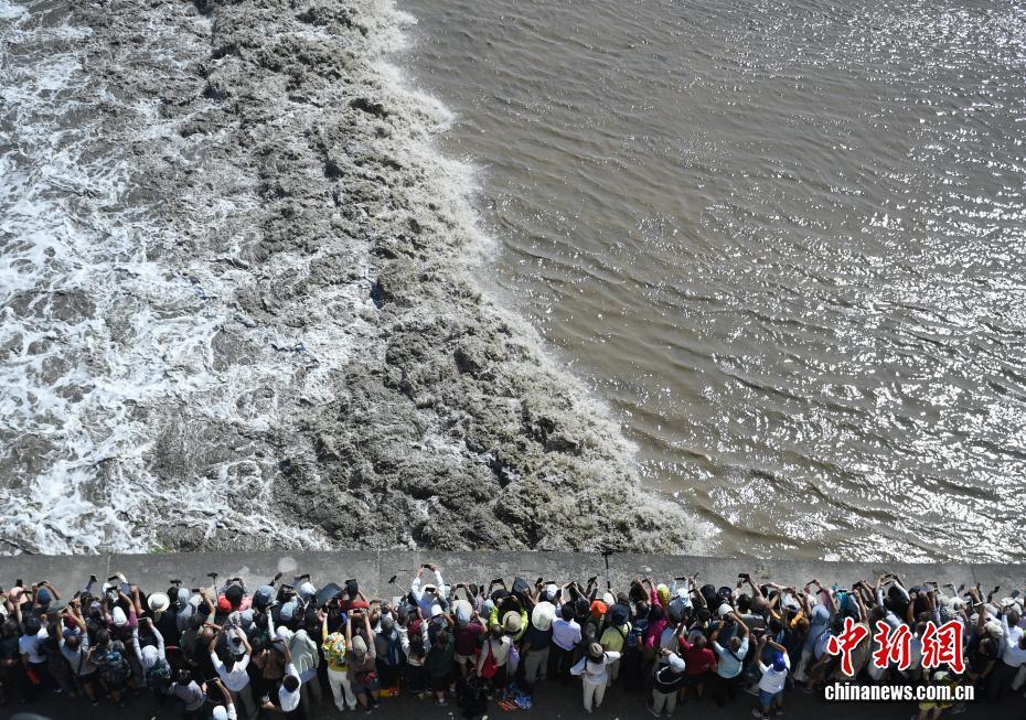 浙江海宁：钱塘江大潮汹涌壮观吸引游客