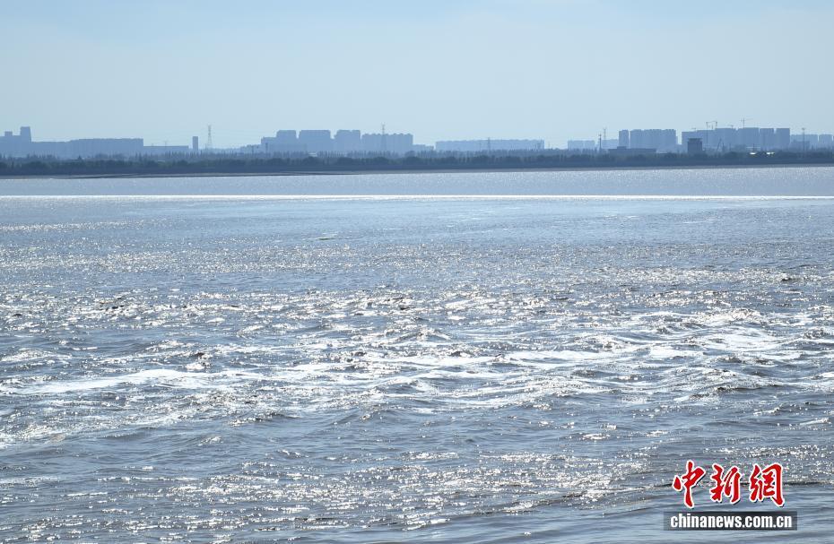 浙江海宁：钱塘江大潮汹涌壮观吸引游客